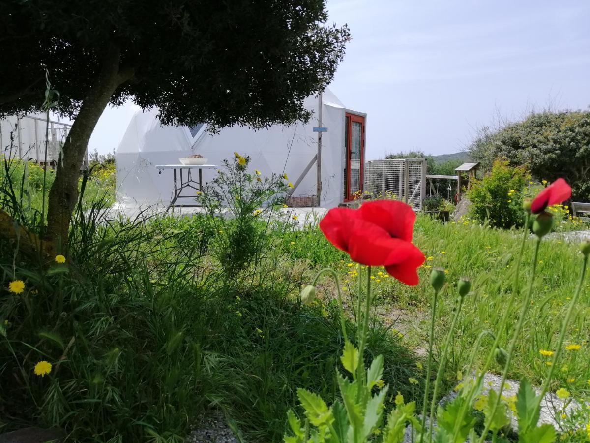SantʼAntìoco B&B Glamping Semaforo Capo Sperone المظهر الخارجي الصورة