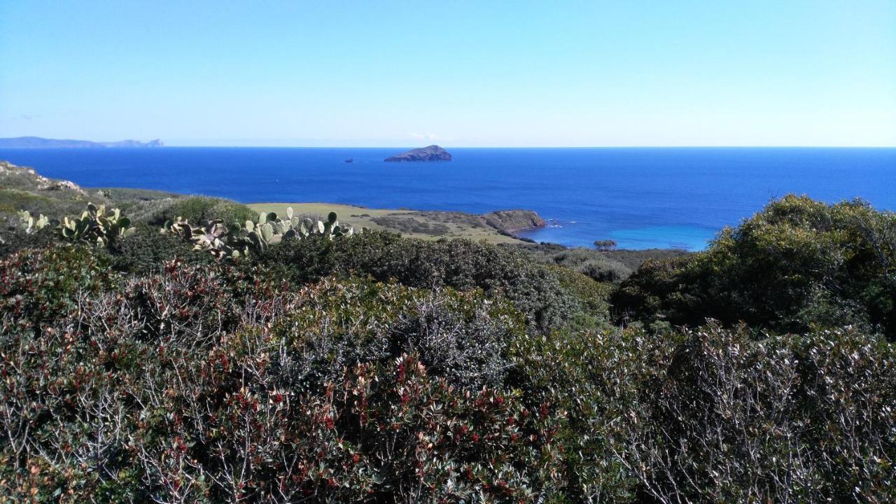 SantʼAntìoco B&B Glamping Semaforo Capo Sperone المظهر الخارجي الصورة