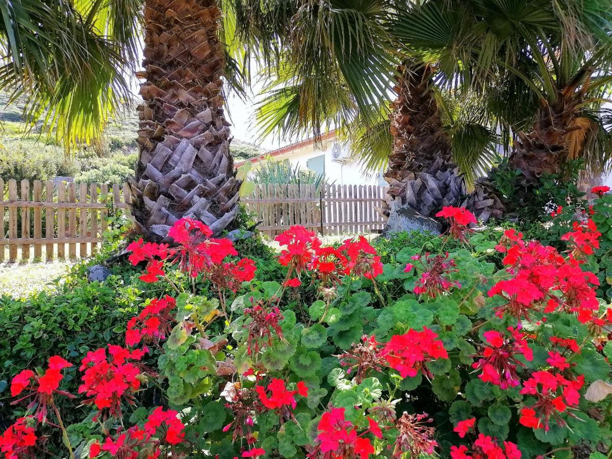 SantʼAntìoco B&B Glamping Semaforo Capo Sperone المظهر الخارجي الصورة
